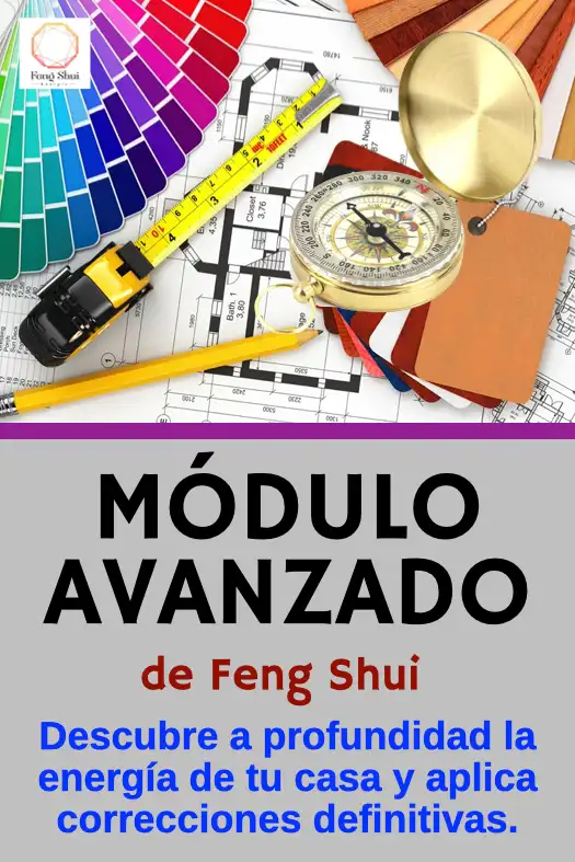 MÓDULO AVANZADO